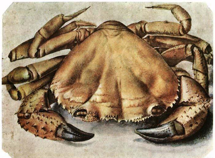 Albrecht Durer Lobster 1495 Watercolour and gouache oil painting picture